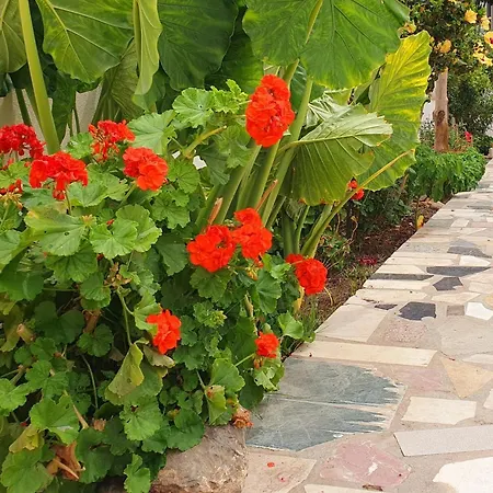 Privatunterkunft Casitas *