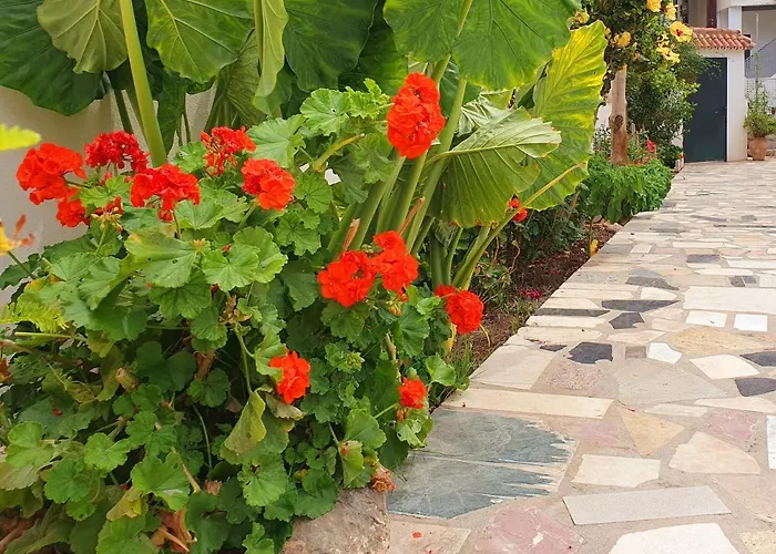 Δωμάτια σε οικογενειακή κατοικία Casitas *